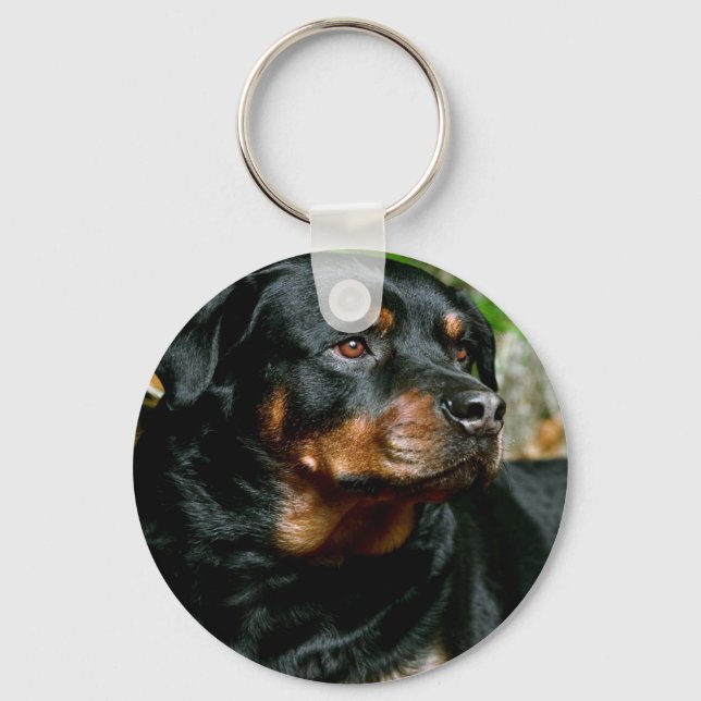 Porte-clés Rottweiler (Recto)