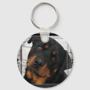 Porte-clés rottweiler-encadré