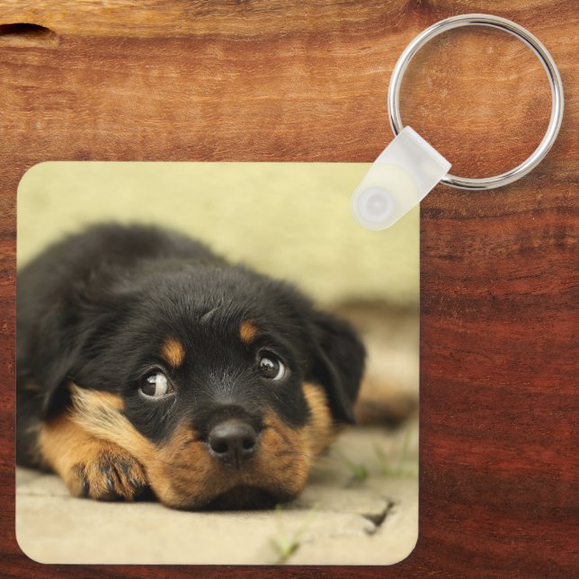 Porte-clés Rottweiler Puppy (Verso)