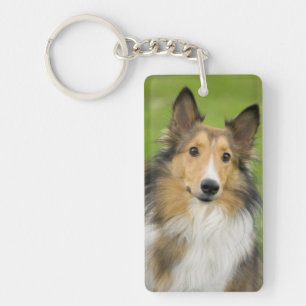 Porte-clés Rough Collie, chien