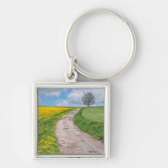 Porte-clés Route de terre et arbre (Devant)