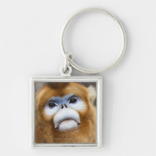 Porte-clés Roxellana d'or masculin de Pygathrix de singe,