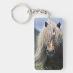 Porte-clés Royaume-Uni, Écosse, îles Shetland, poney shetland
