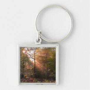 Porte-clés Royaume-Uni. Forêt de Dean. Rayon de soleil pénétr