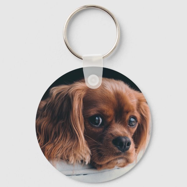 Porte-clés Ruby Cavalier King Charles Spaniel (Recto)