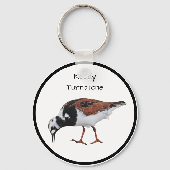 Porte-clés Ruddy Turnstone (Recto)