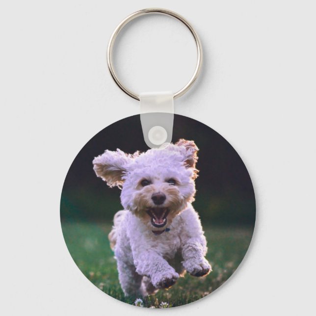 Porte-clés Running White Poodle Cute Dog (Recto)