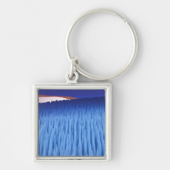 Porte-clés SA, Chili, région de Coquimbo, Nieve Penitente; (Devant)