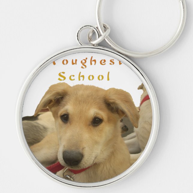 Porte-clés Sagesse d'or : Une vision oeil de chien de l'école (Devant)
