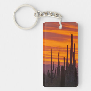 Porte-clés Saguaro, coucher de soleil, Parc national de Sagua