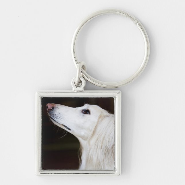 Porte-clés Saluki recherchant (Devant)