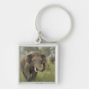 Porte-clés Salutation de l'éléphant asiatique indien