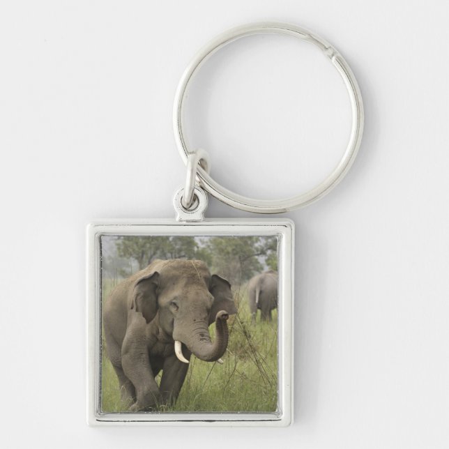 Porte-clés Salutation de l'éléphant asiatique indien (Devant)