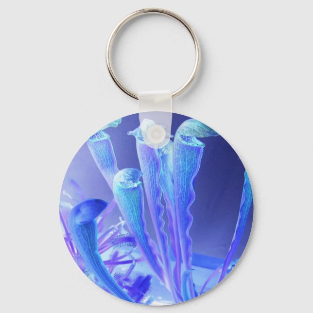 Porte-clés sarracénie blues (Recto)