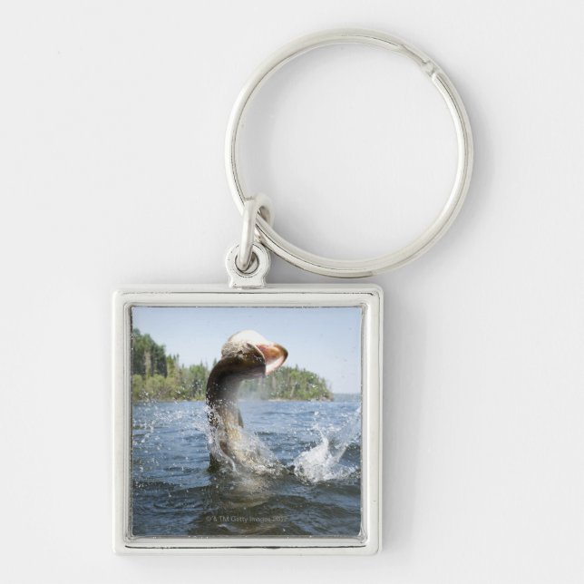 Porte-clés Sauter de Pike du nord de l'eau dans un lac (Devant)