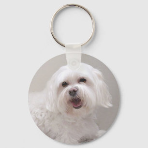 Porte-clés Sauvetage de Petit Chien Blanc (Maltais)