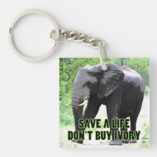 Porte-clés Sauvez la vie d'un éléphant, n'achetez pas d'ivoir