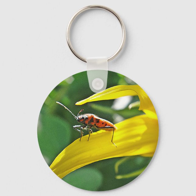 Porte-clés Schlüsselanhänger roter Punktekäfer (Recto)