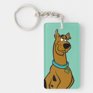 Porte-clés Scooby Doo Chiot Yeux