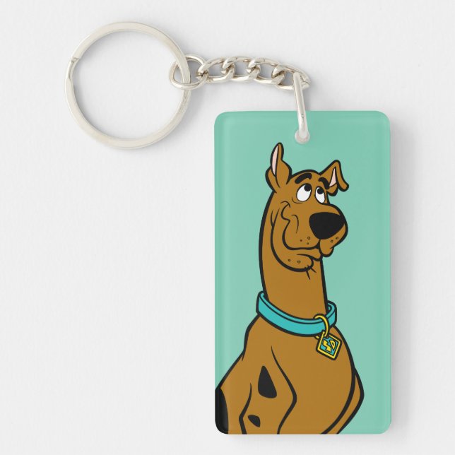 Porte-clés Scooby Doo Chiot Yeux (Devant)