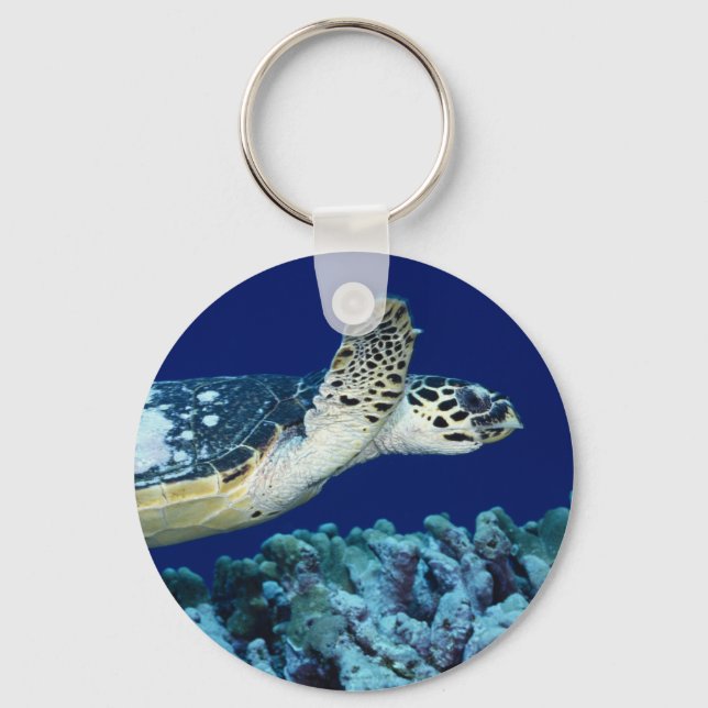 Porte-clés Sea Life - Tortue de mer (Recto)