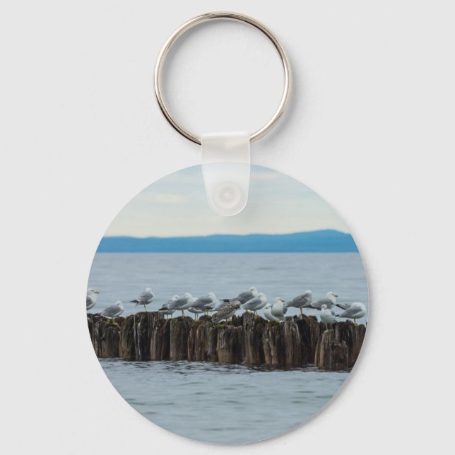 Porte-clés Seagull Breaktime (Recto)