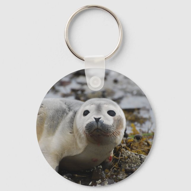 Porte-clés Seal Pup Keychain (Recto)