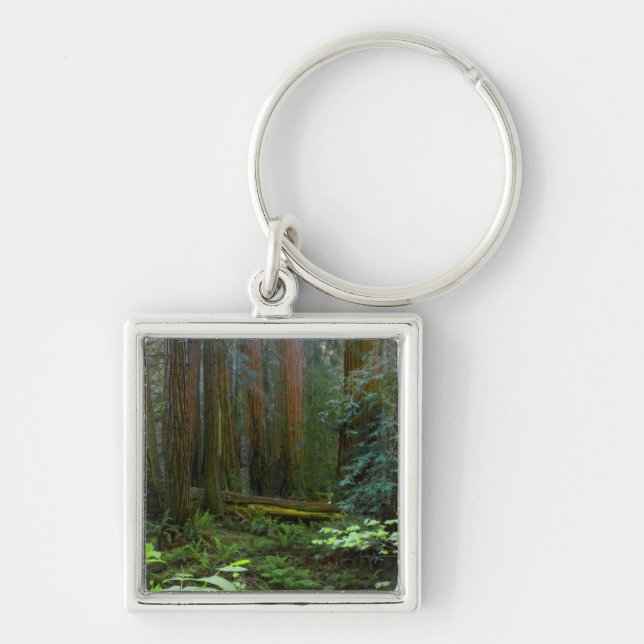 Porte-clés Séquoias de Muir Woods National Monument (Devant)