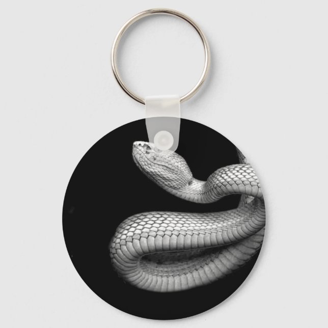 Porte-clés Serpent (Recto)