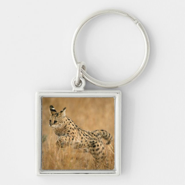Porte-clés Serval (Leptailurus Serval) sautant (Devant)