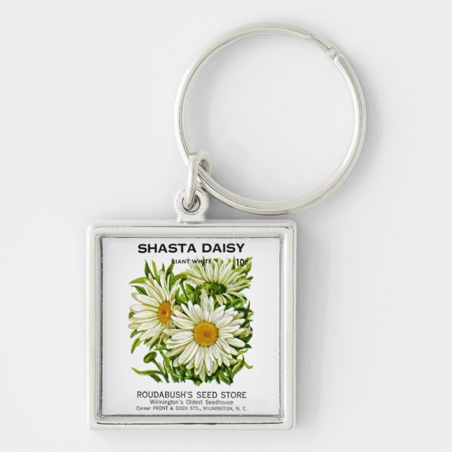 Porte-clés Shasta Daisy Vintage semis (Devant)