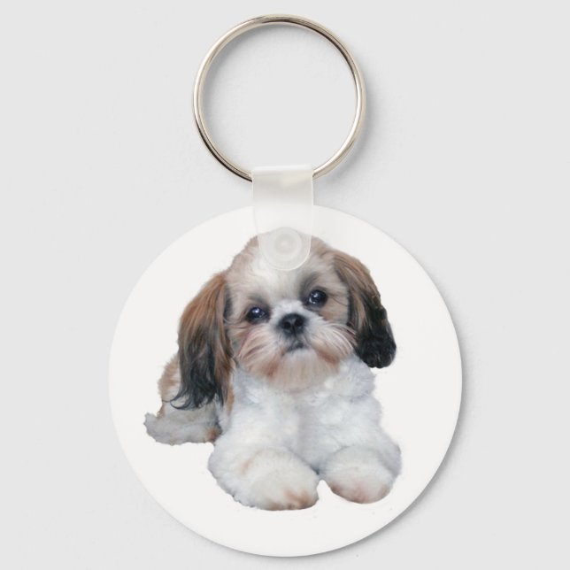 Porte-clés Shih Tzu Porte - clé chiot (Recto)