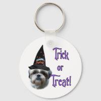 Shih Tzu Trick