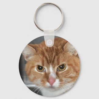 Porte-clés Shorthair Orange Tabby Porte - clé
