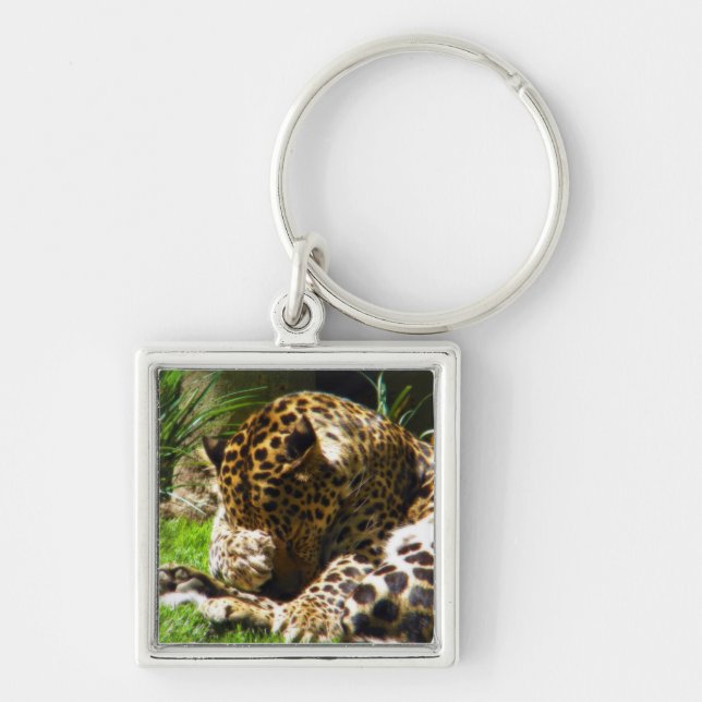 Porte-clés Shy Leopard (Devant)