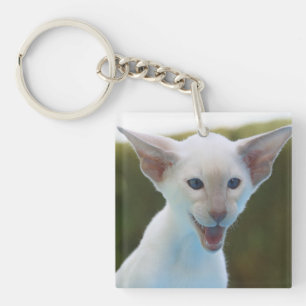 Porte-clés Siamese idiot