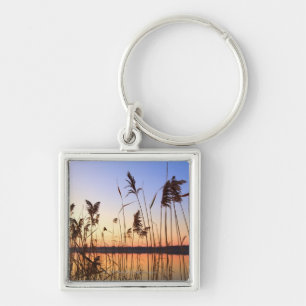 Porte-clés Silhouette de plante par coucher du soleil de