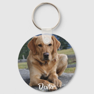 Porte-clés Simple Pet One Photo Name Keepsaké