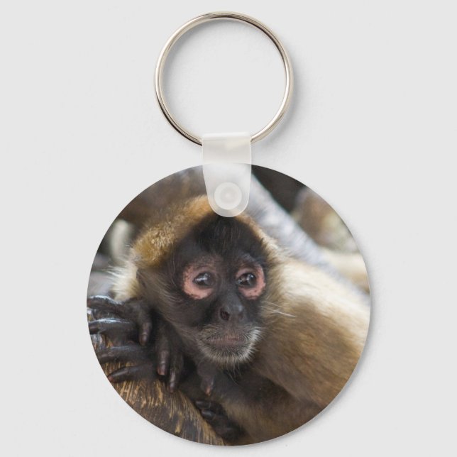 Porte-clés singe araignée (Recto)