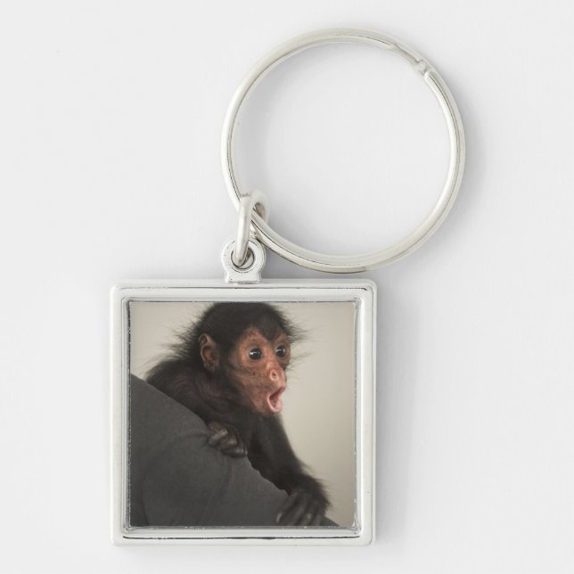 Porte-clés Singe araignée à face rouge Ateles paniscus) (Devant)
