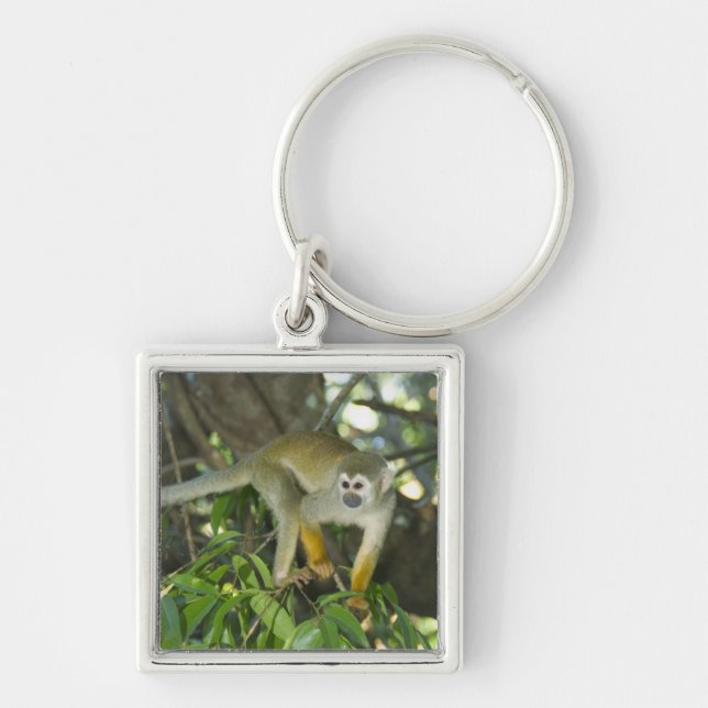 Porte-clés Singe écureuil commun, (Saimiri sciureus), Rio (Devant)