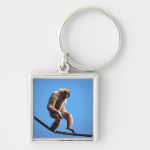 Porte-clés singe marchant sur la corde