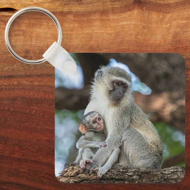 Porte-clés Singe Vervet, Nature Douce (Recto)