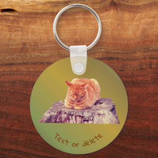 Porte-clés Sleeping Orange Tabby Chat Animal Personnalisé