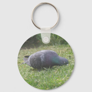 Porte-clés Sleeping Pigeon Keychain