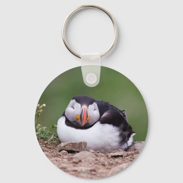 Porte-clés Sleeping Puffin (Recto)
