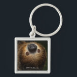 Porte-clés Sloth à deux doigts du Sud<br><div class="desc">Cette image montre un paresseux suspendu à l'envers d'une branche d'arbre. Le corps d'un paresseux se compose d'un cou court avec quatre membres longs de longueur égale, se terminant par deux griffes incurvées de 3 à 4 pouces. La tête est courte et plate, avec un nez doux, des oreilles rudimentaires...</div>