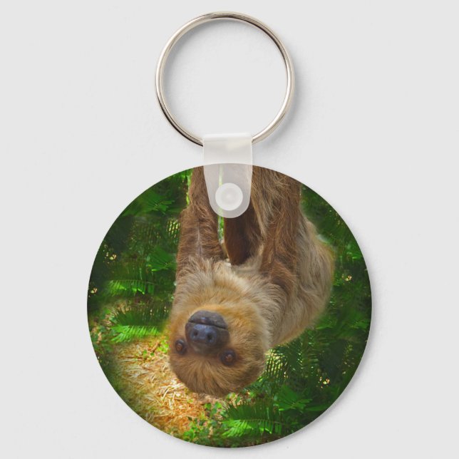 Porte-clés Sloth Rainforest Cadfts (Recto)