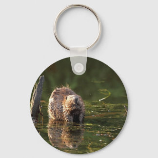 Porte-clés Smiling Beaver