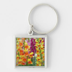 Porte-clés Snapdragons colorés floraux
